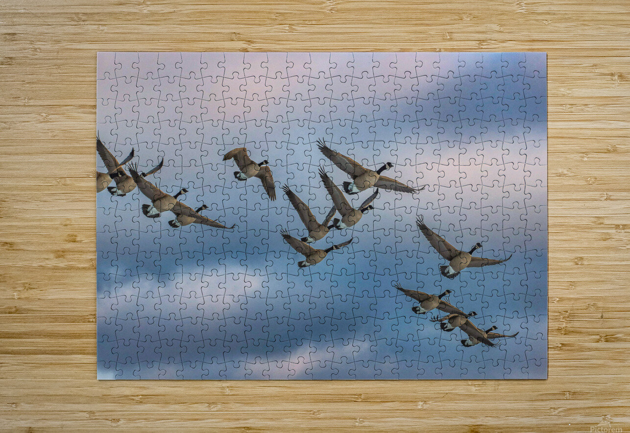 Canada geese and sky NatureSnaps Puzzle printing