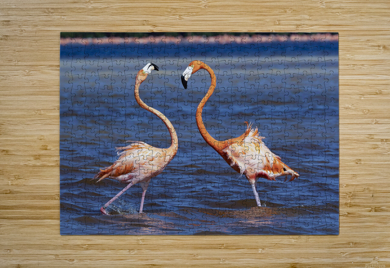 Flamingo chat NatureSnaps Puzzle printing