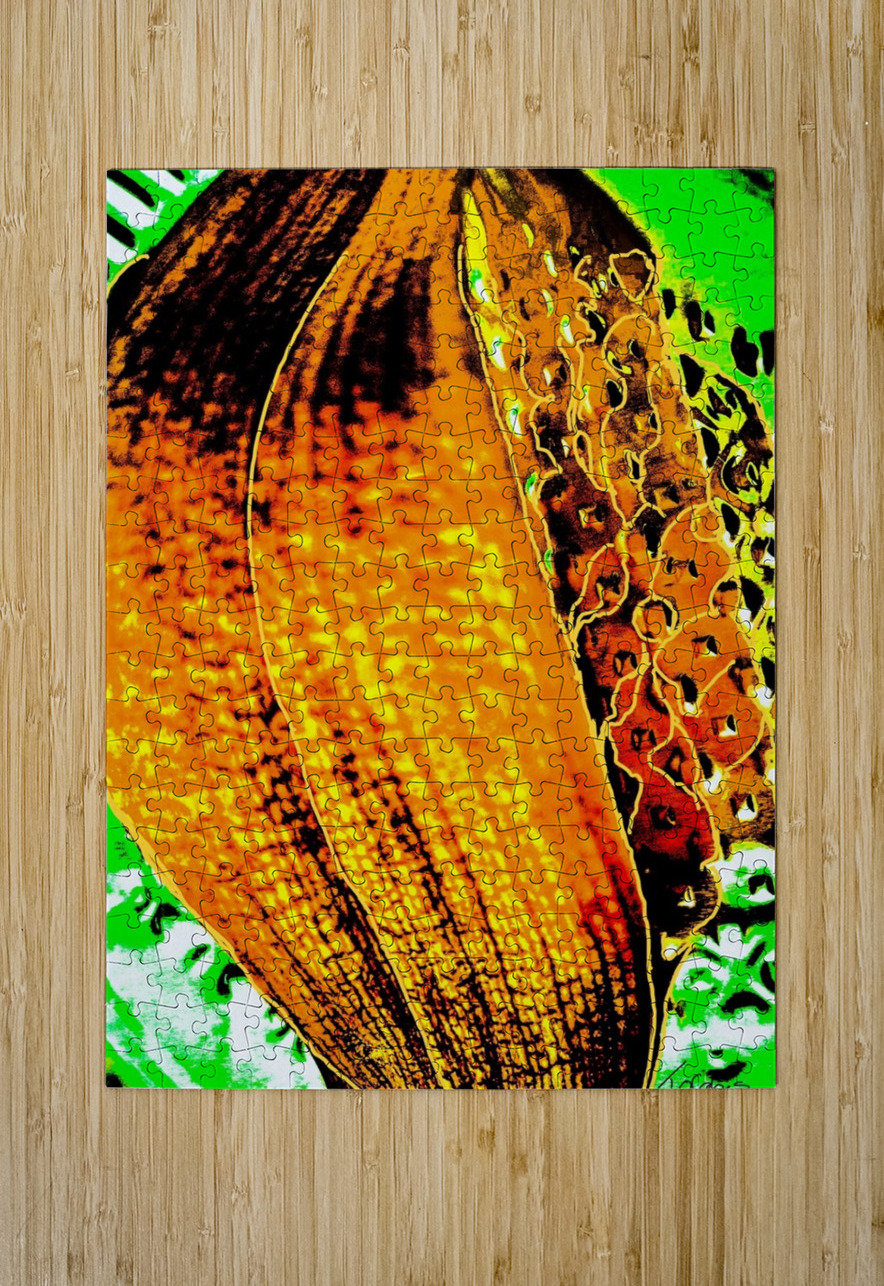 Abandon  Jolabis  Puzzle printing