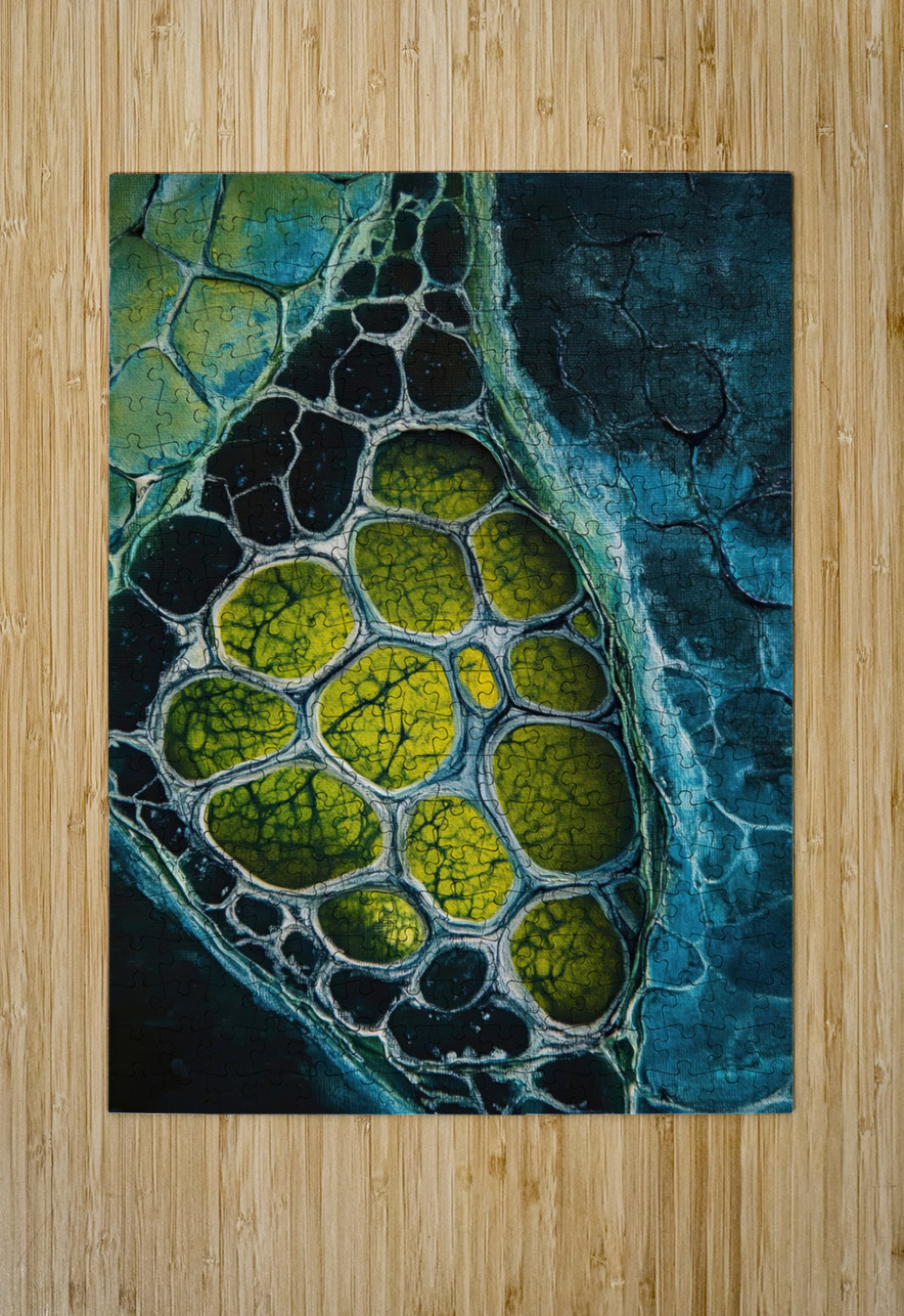 Cellular Genesis H9P2N8 60 Abstract Rebellion Puzzle printing