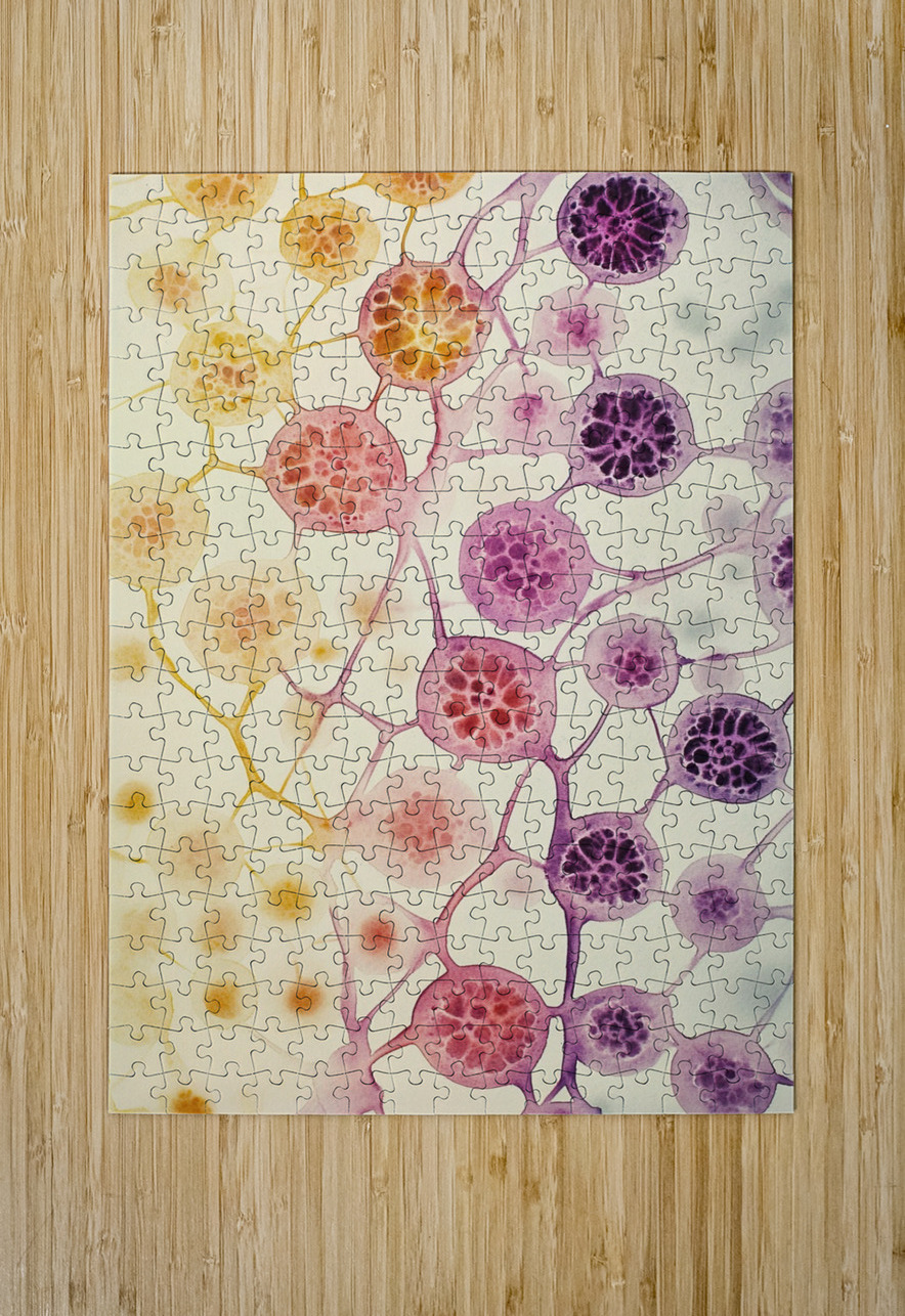 Cellular Echoes Y59H2N 55 Abstract Rebellion Puzzle printing