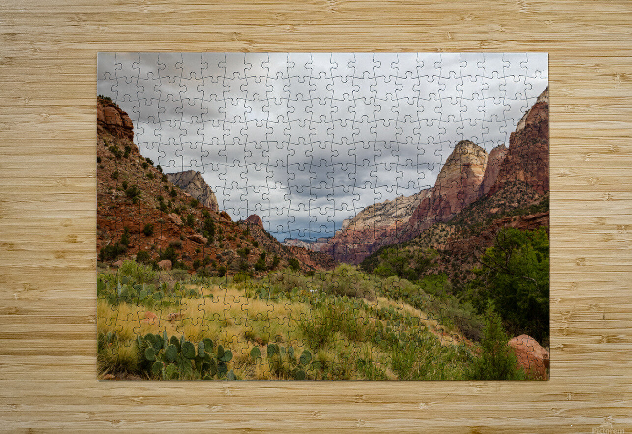 Prickly Pear and Sandstone Zion National Park Andrew Pacheco Puzzle printing