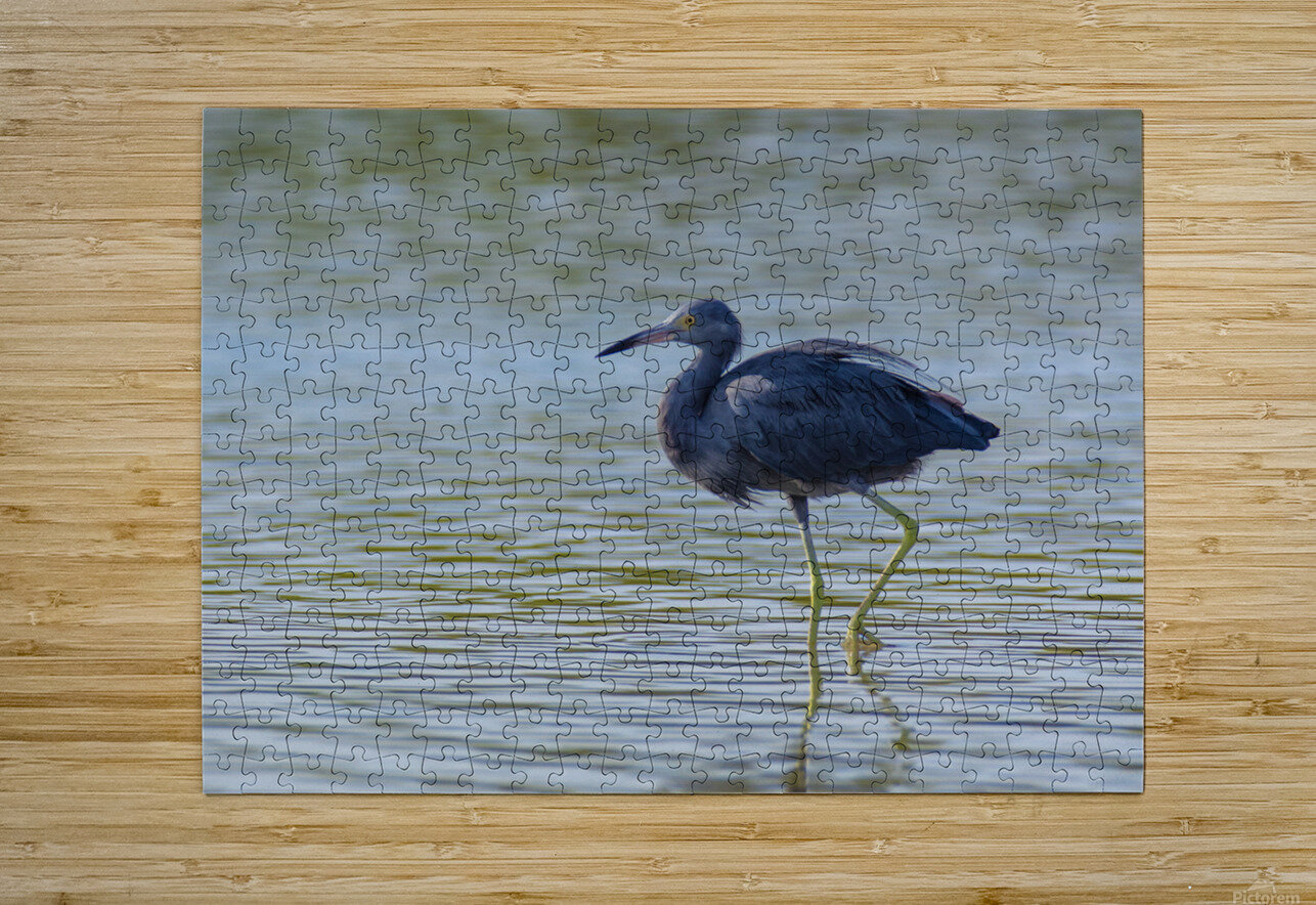 Little Blue Heron 3242 Robert Burnett Puzzle printing