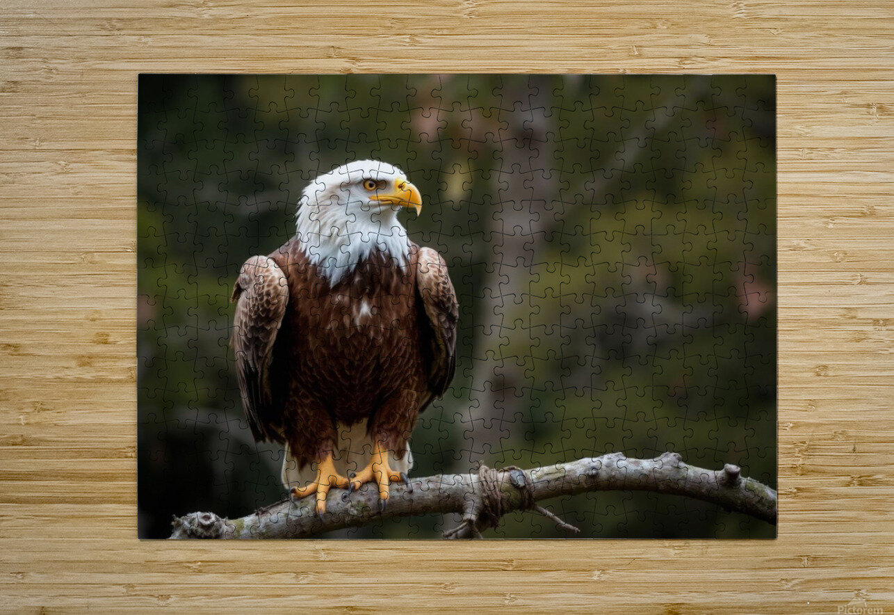 Majestic bald eagle perched gracefully on a branch MasterpiecesonWalls Puzzle printing