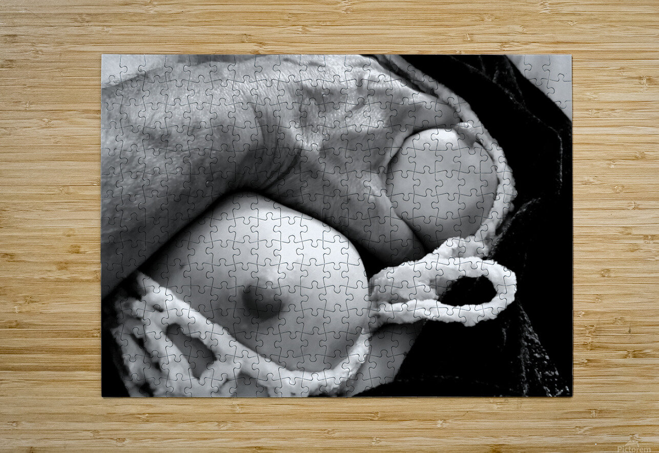 Nude Breasts - Left Hand Hold Left Breast J Kazreclab Puzzle printing