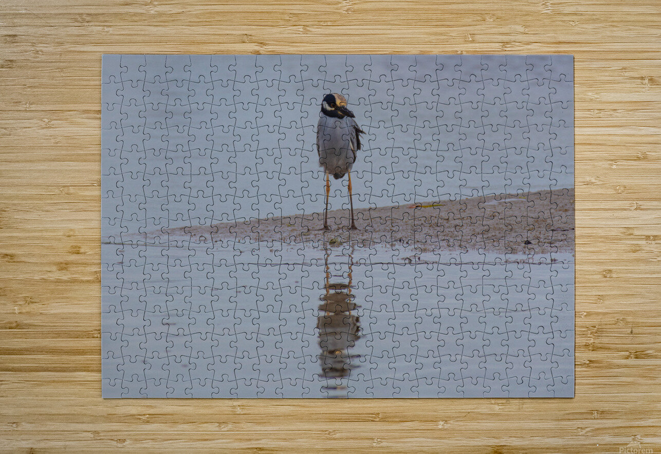 Yellow crowned Night Heron 4831 Robert Burnett Puzzle printing