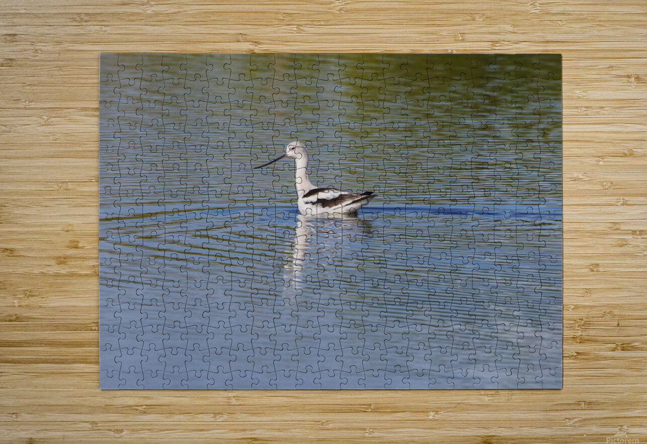 American Avocet 1828 Robert Burnett Puzzle printing