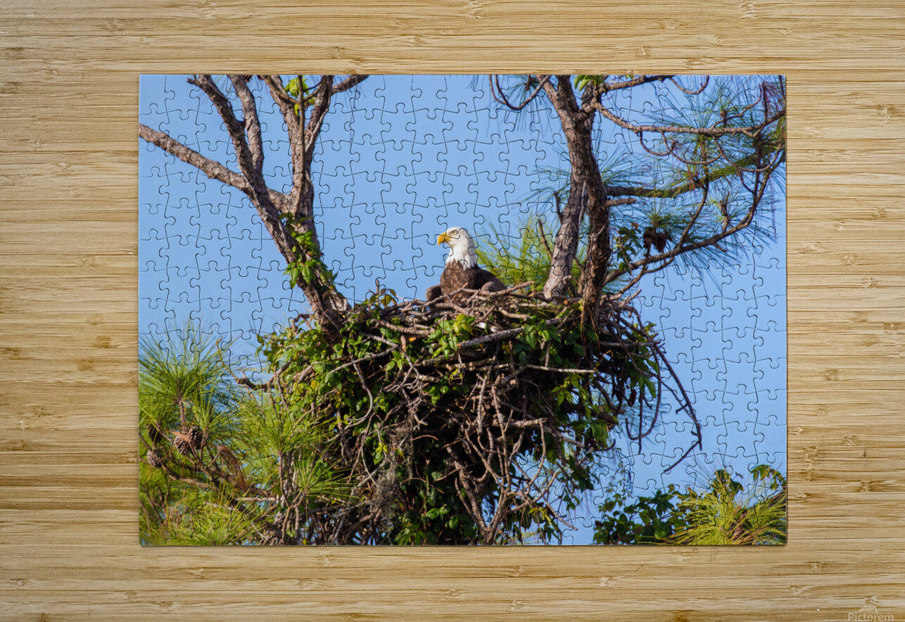 Bald Eagle 9148 Robert Burnett Puzzle printing