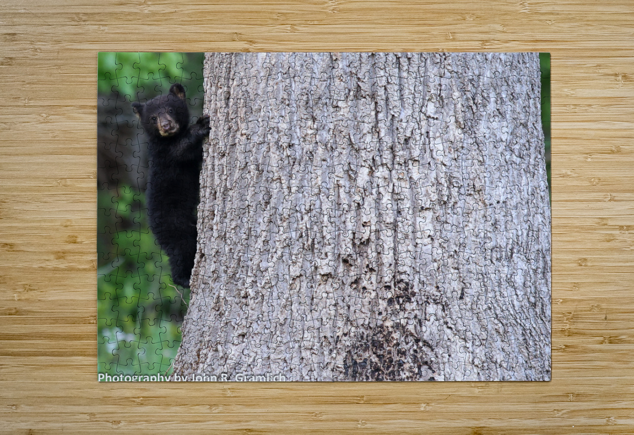 Baby Bear Vividscope Puzzle printing