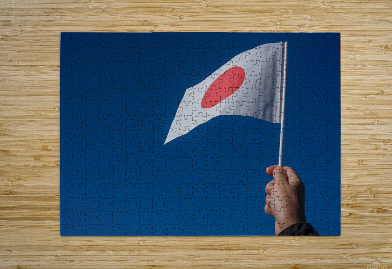 Japanese National Flag Daisei Iketani Puzzle printing