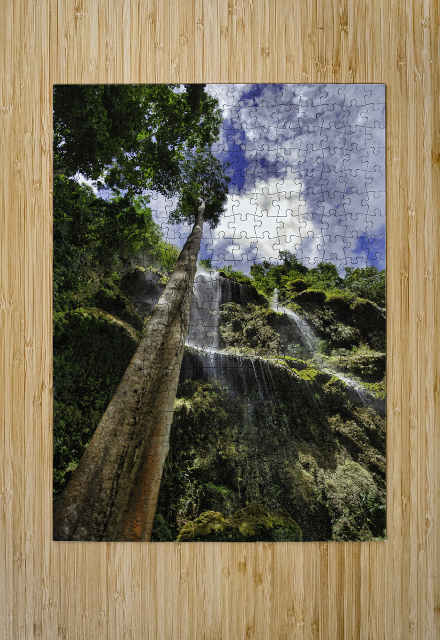 Vertical Horizon – Waterfall Canopy Cebu Philippines AM Productions Puzzle printing