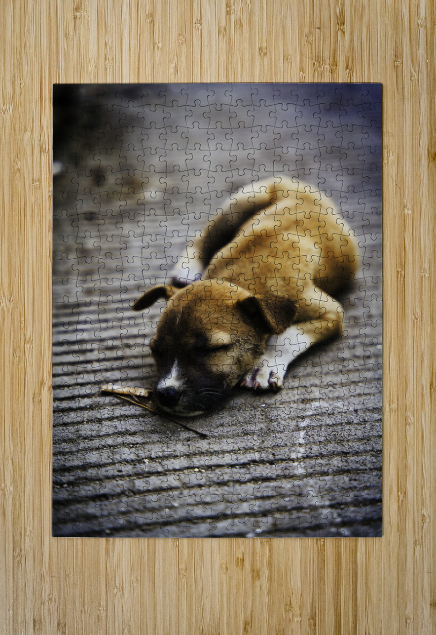 Resting Innocence – Cebu Philippines AM Productions Puzzle printing