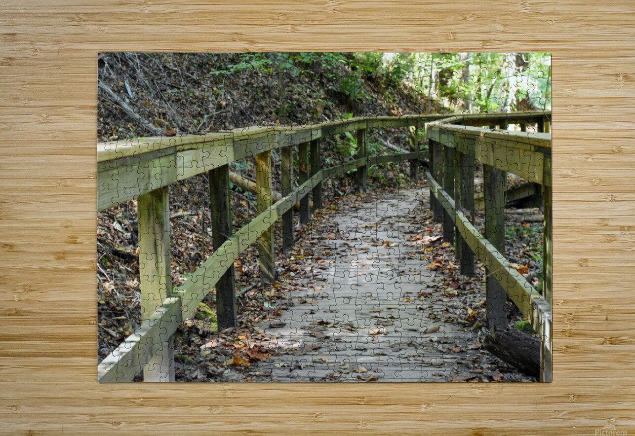 The trail of life Robert Campbell Puzzle printing