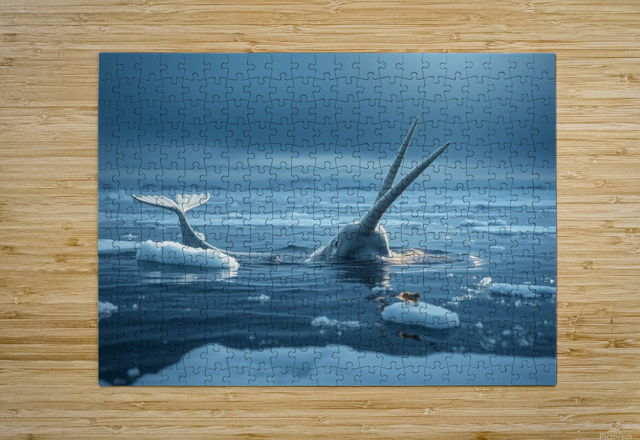 Narwhal’s Unicorn Moment nor 2020 Puzzle printing