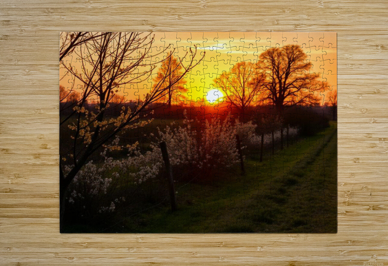  Stunning mural depicting a serene sunset over a vibrant field adorned with trees and blooming flowers. MasterpiecesonWalls Puzzle printing