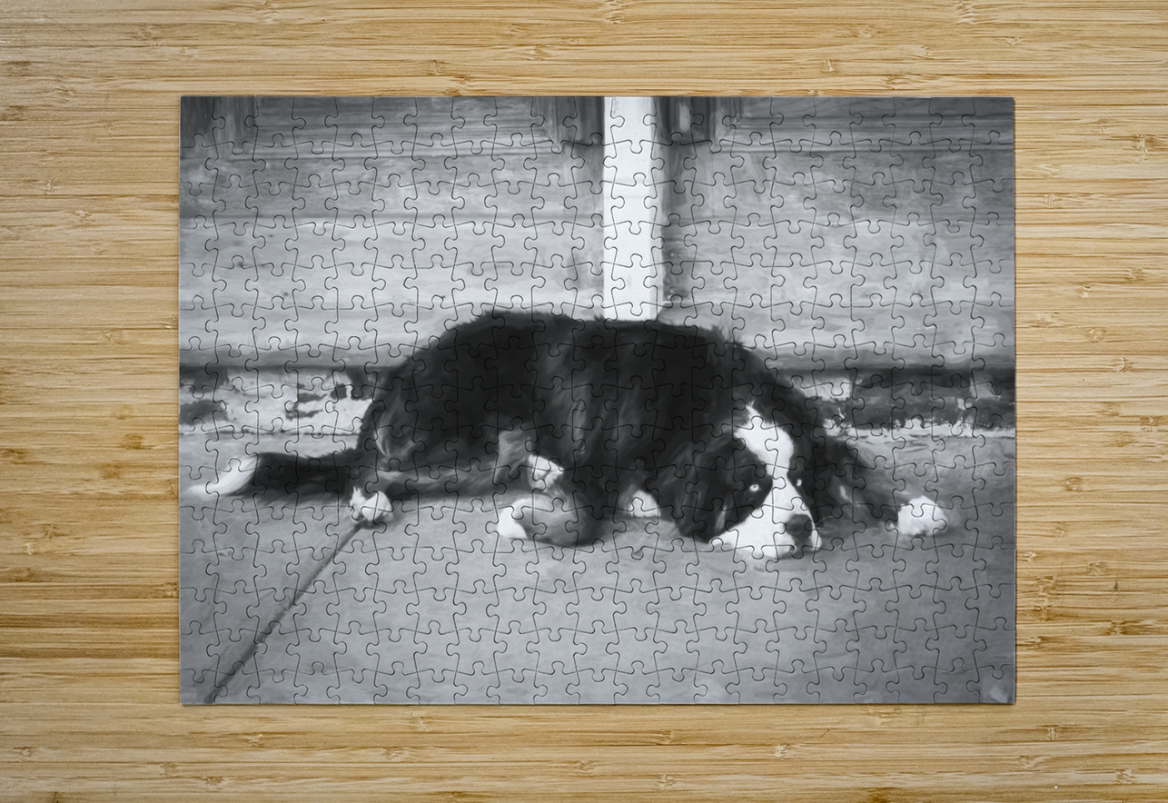 Bernese Mountain Dog Aspen X100 Rich Franco Puzzle printing