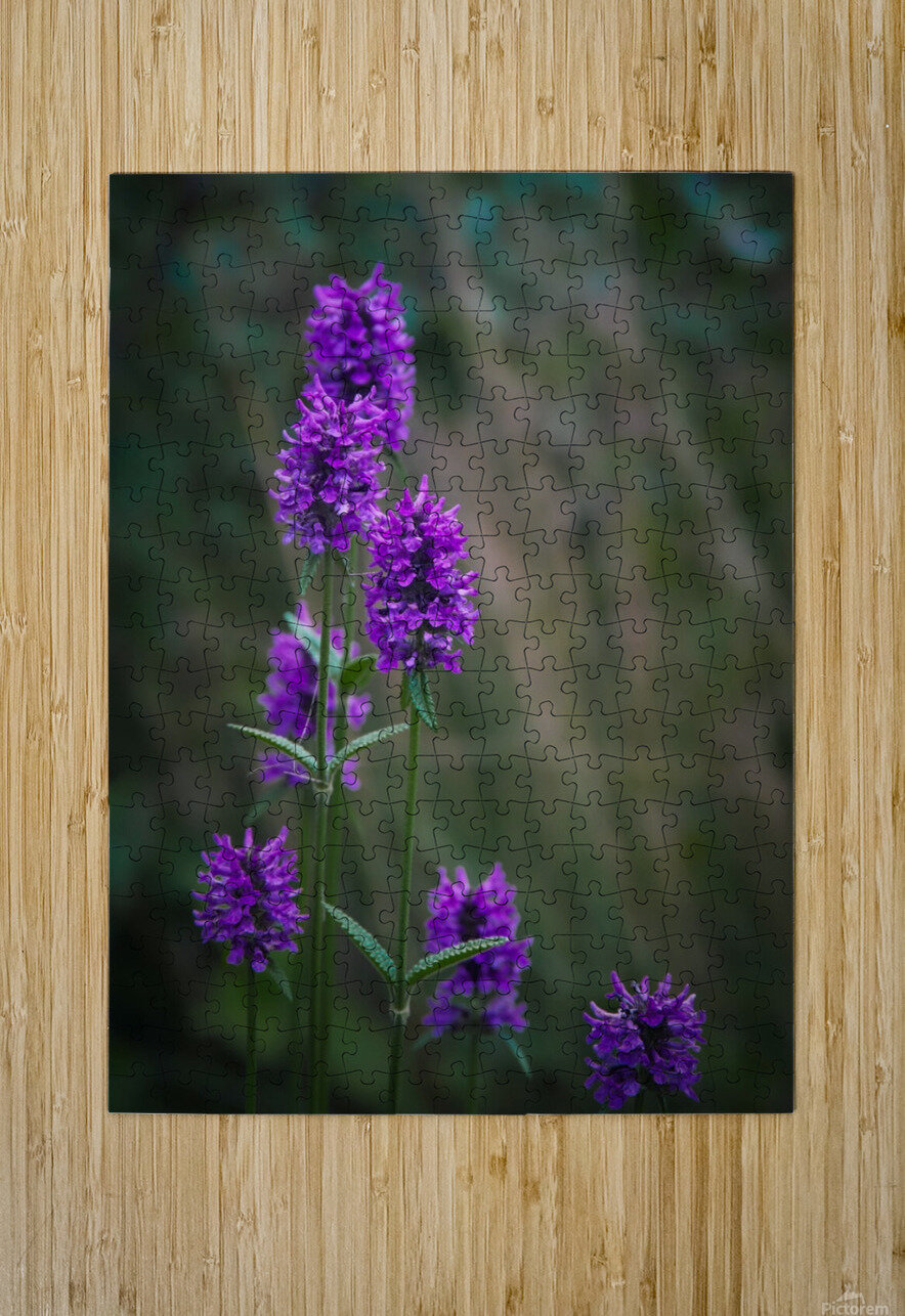 Poised Images by Cheryl Lynn Puzzle printing