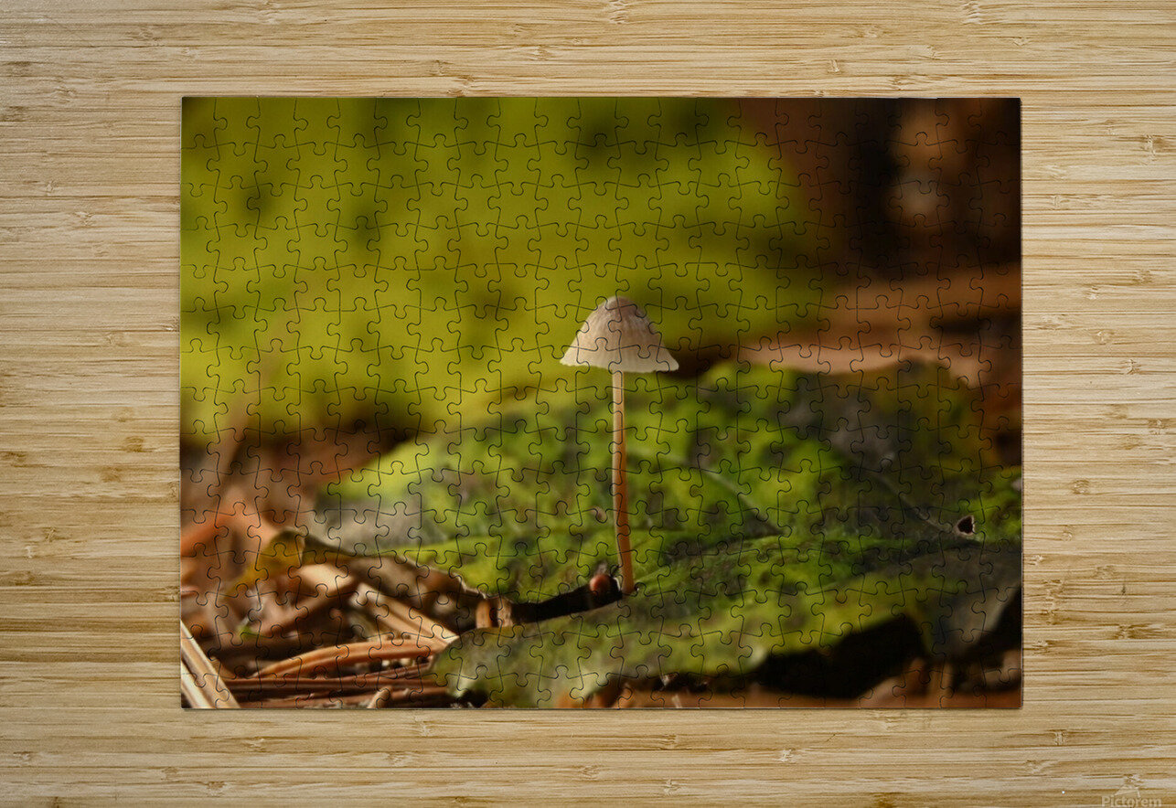 The mighty one  Images by Cheryl Lynn Puzzle printing