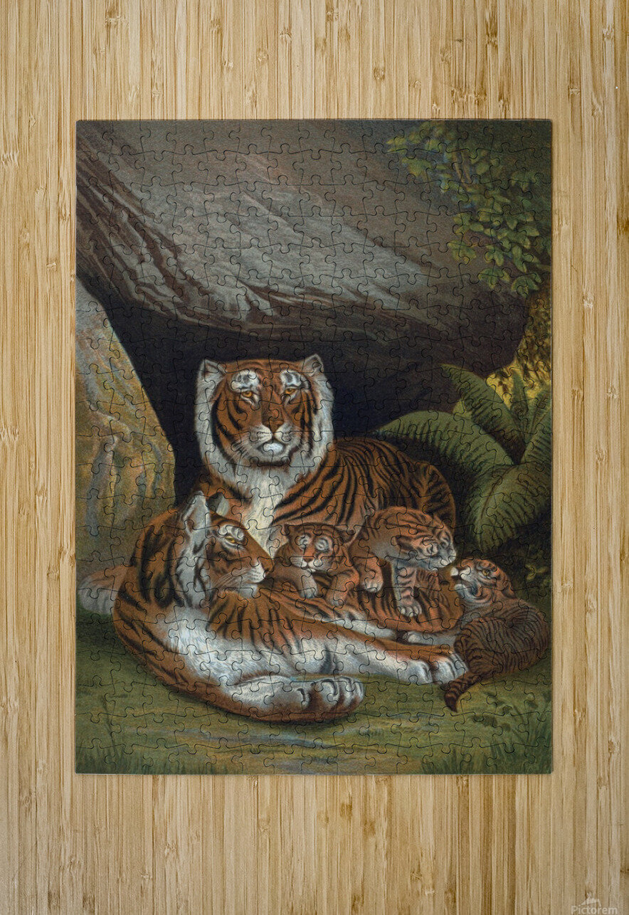 Tiger Illustration Mammal Melds Gallery Puzzle printing