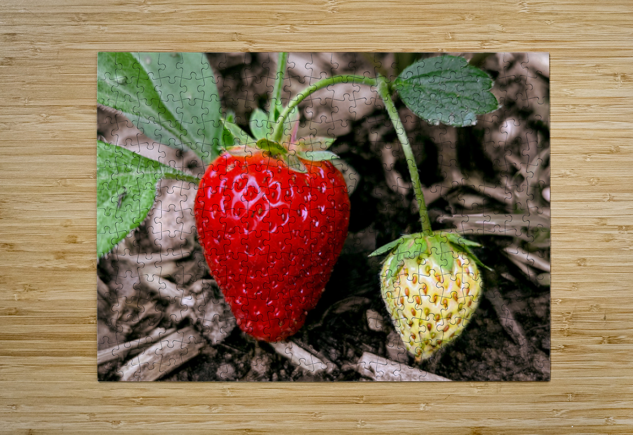 Two Albion Strawberries Future Unmapped Puzzle printing
