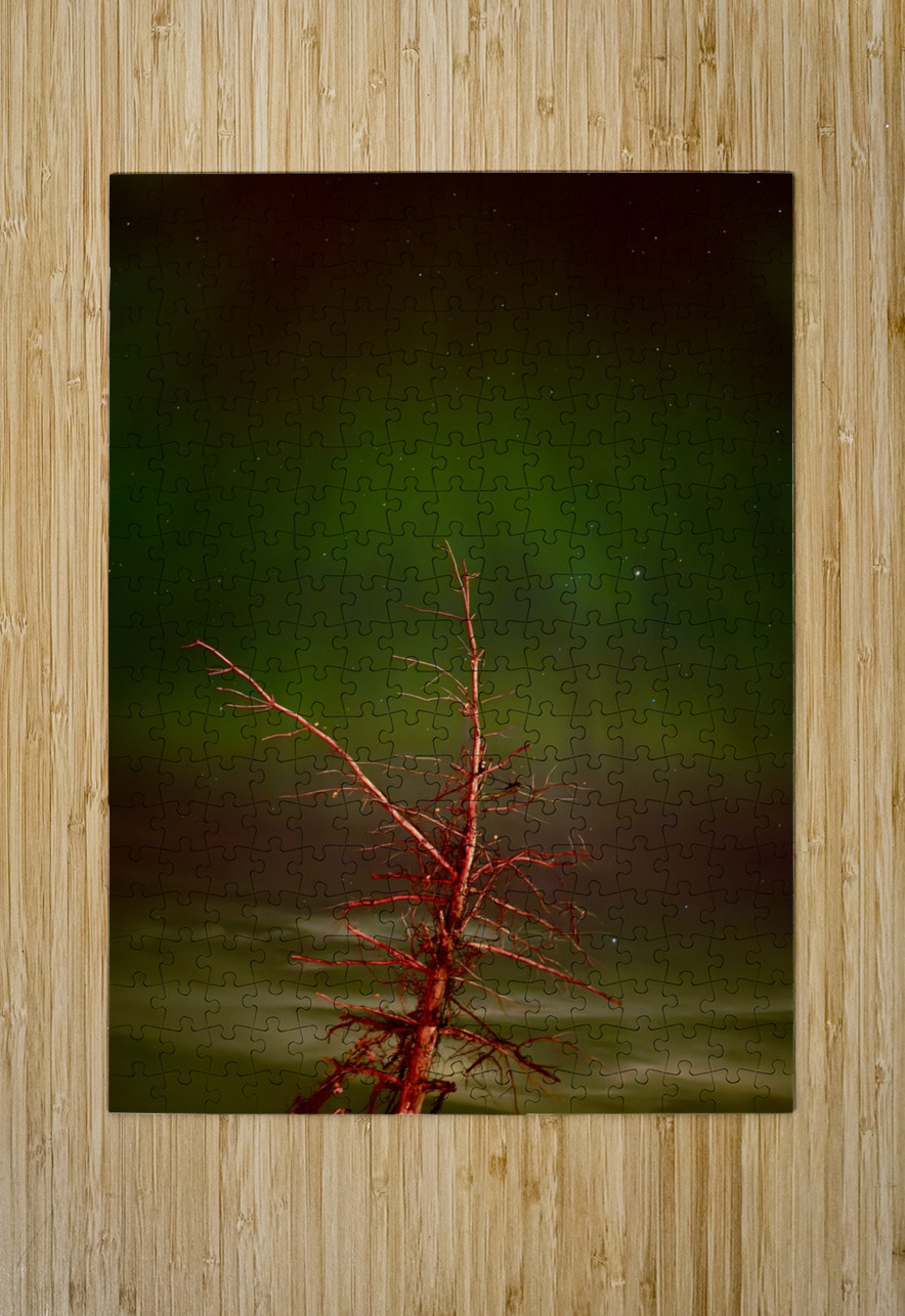 Ghost Tree Under the Northern Lights Lisa Drew Puzzle printing