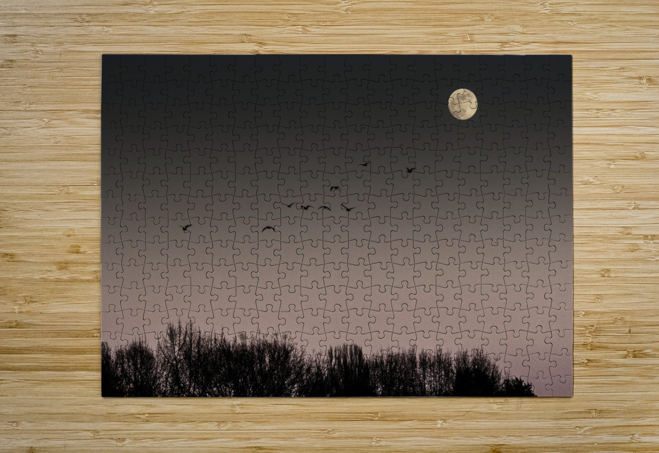 FS250211 MOONRISE FOTOSQUARES COM Puzzle printing