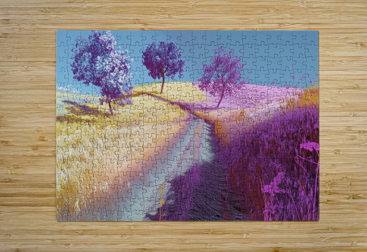 Chromatic Pathways 2H9N3Z 62 Abstract Rebellion Puzzle printing