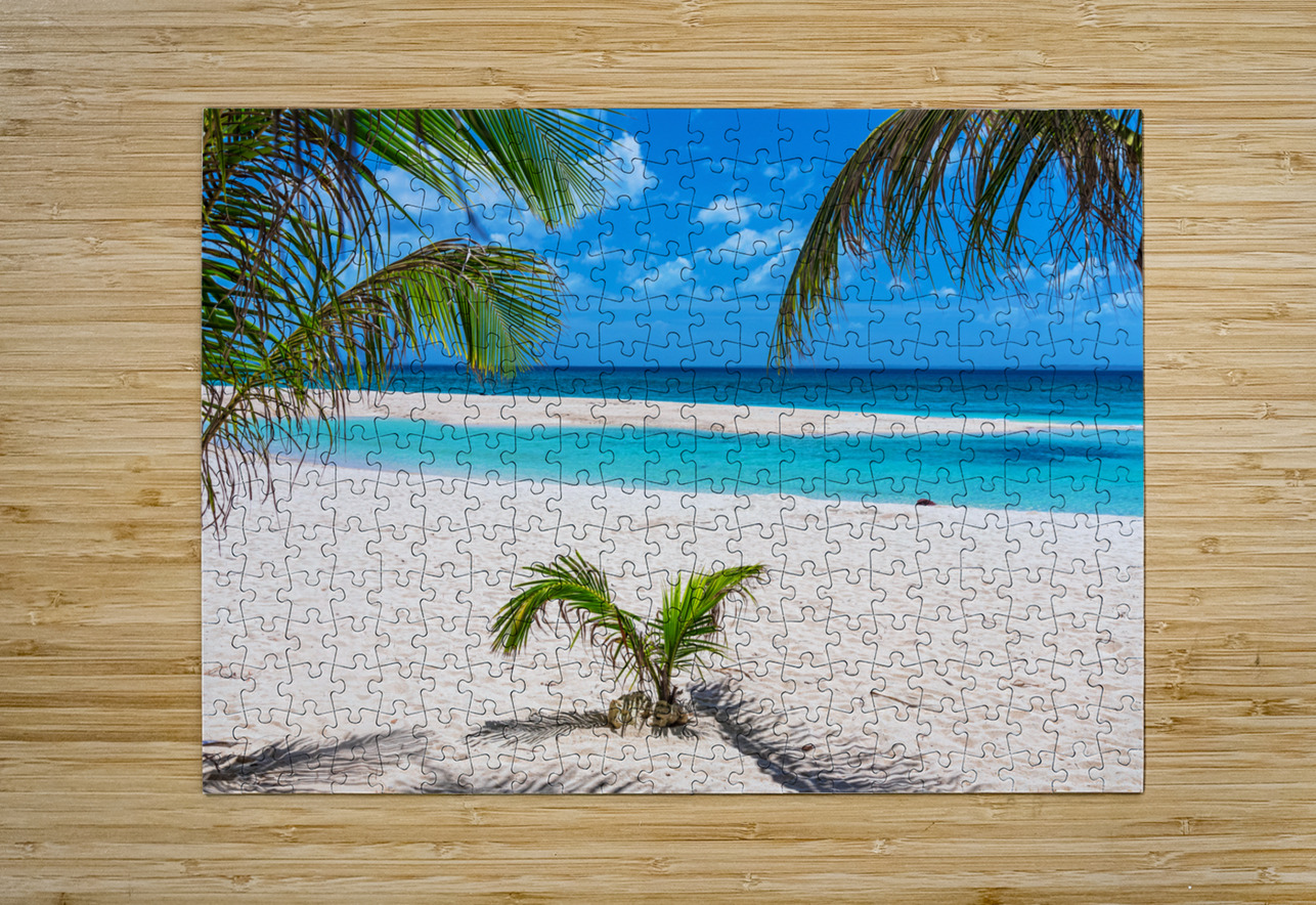 Tropical White Sand Beaches Vacation View Bo Insogna Puzzle printing