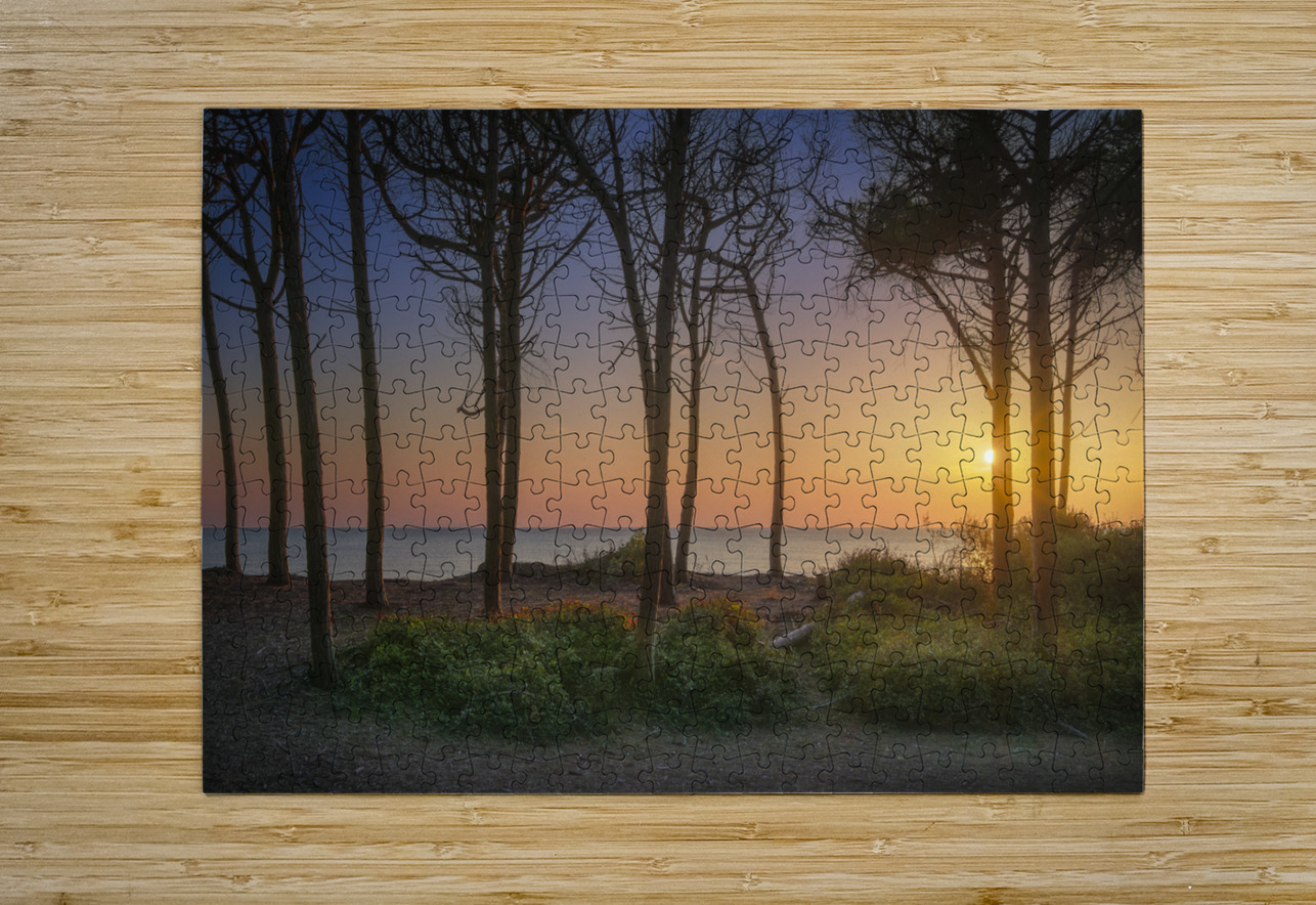 Pine trees and sea at sunset in Tuscany Stefano Orazzini Puzzle printing
