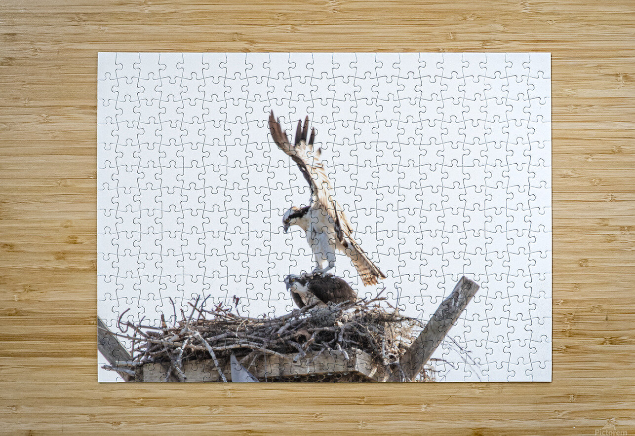 Osprey 1146 Robert Burnett Puzzle printing