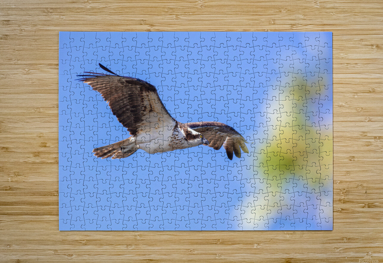 Osprey 5011 Robert Burnett Puzzle printing