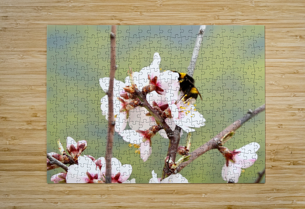 Primavera 2025 Juan Francisco Maura Puzzle printing