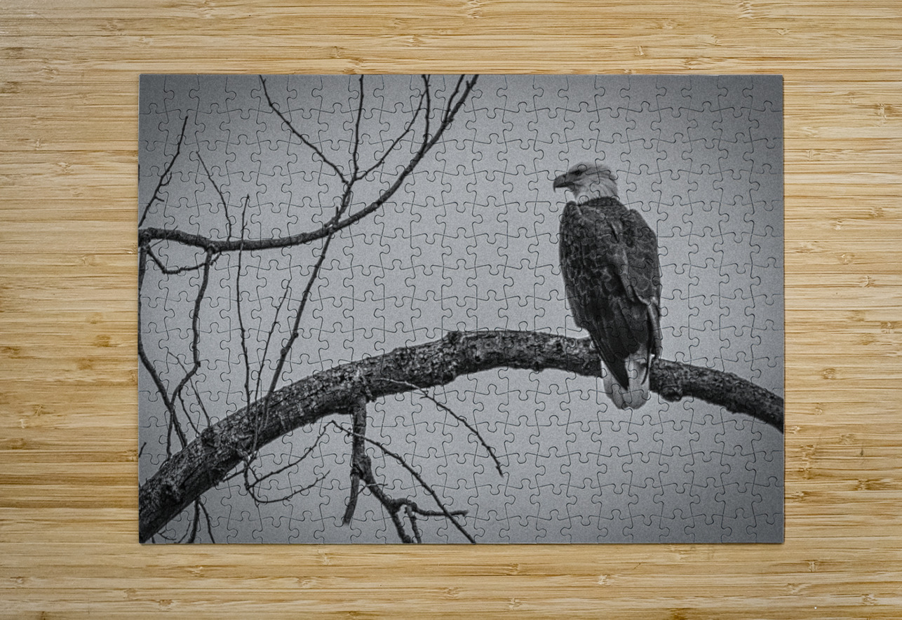 FS250209 ANTIQUE BW FOTOSQUARES COM Puzzle printing