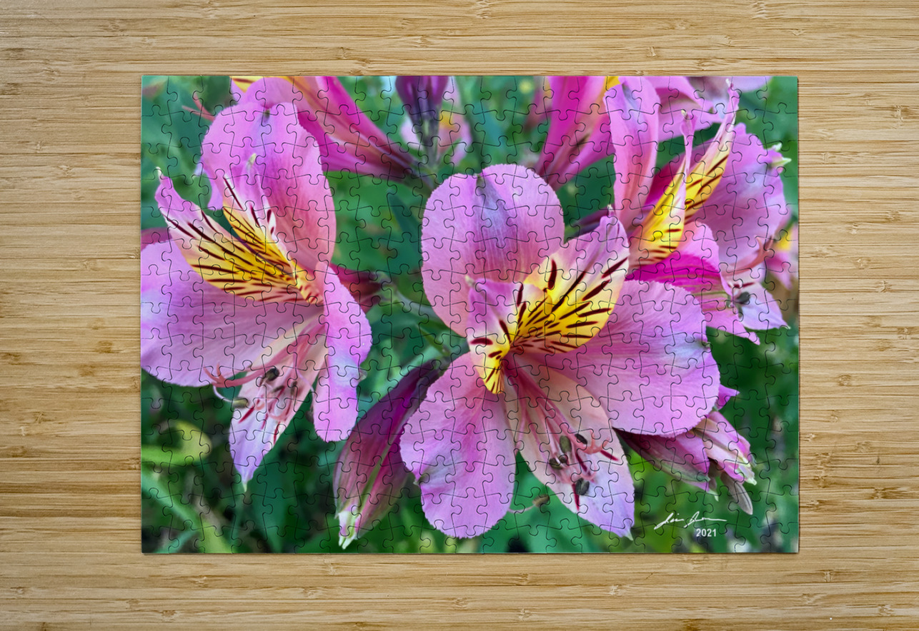 Alostremia Jim Jensen Photography Puzzle printing