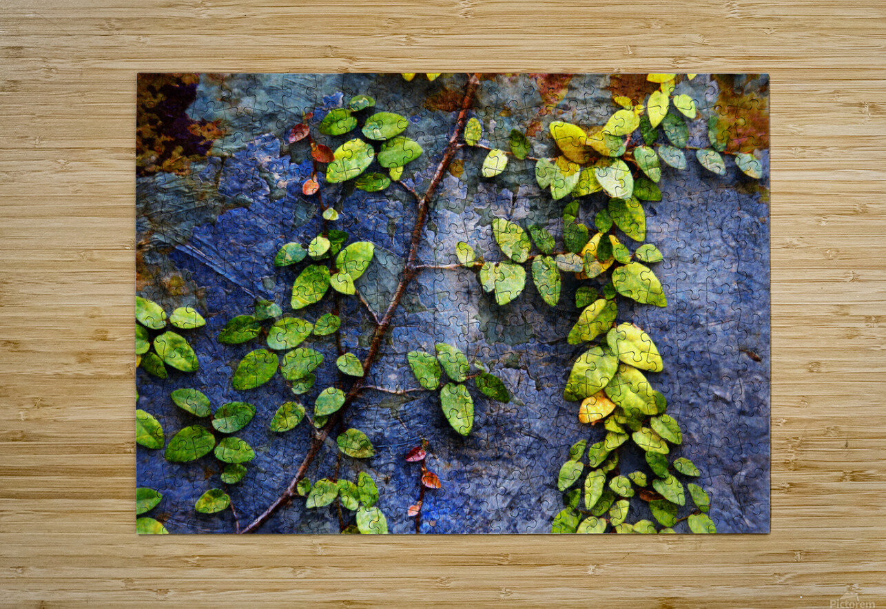 1l Vines On Metal and Stucco Lawrence Costales Puzzle printing