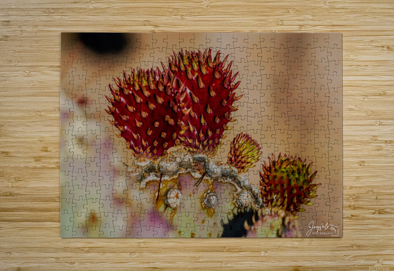 Red Prickly Pear Joyful Photography Puzzle printing