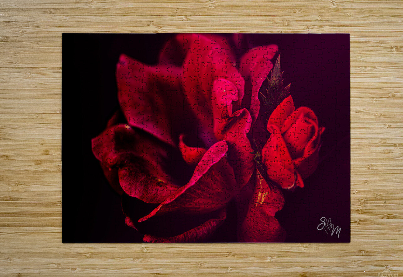  43  Sebastien Magny Puzzle printing