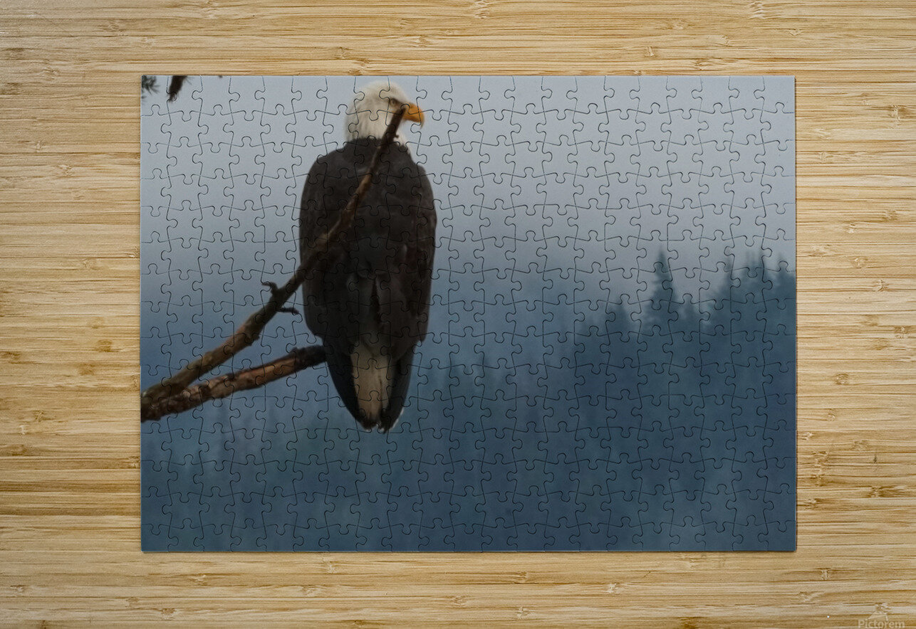Bald Eagle Denise Thrasher Puzzle printing