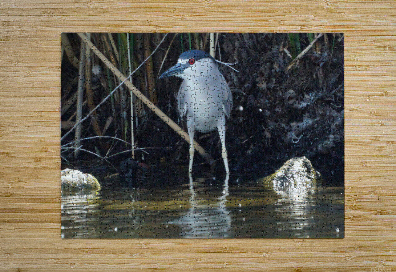 Heron Denise Thrasher Puzzle printing