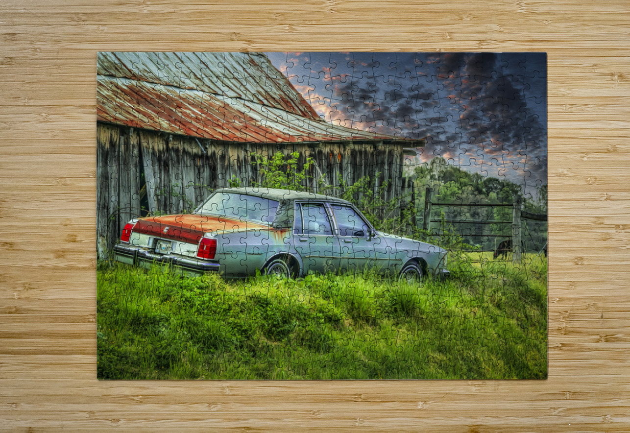 Abandoned in Tennessee Farm Country Shelia Hunt Photography Puzzle printing