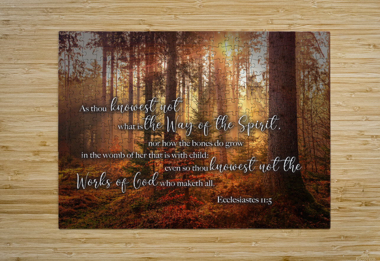 MNW12-FOREST ECC1 5 MY NEHEMIAH WALL Puzzle printing