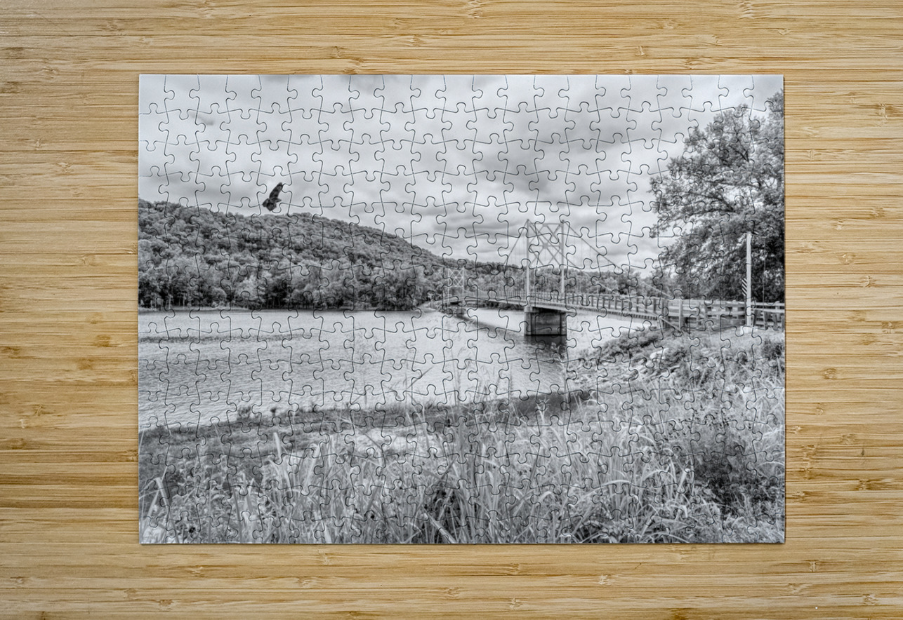 Hawk Over Little Golden Gate Grayscale Jennifer White Puzzle printing