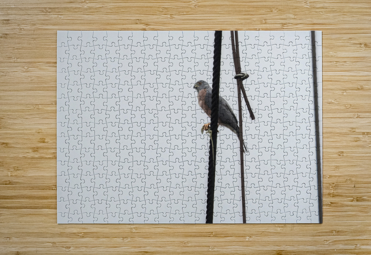 Ecuador 9 0830 Robert Burnett Puzzle printing