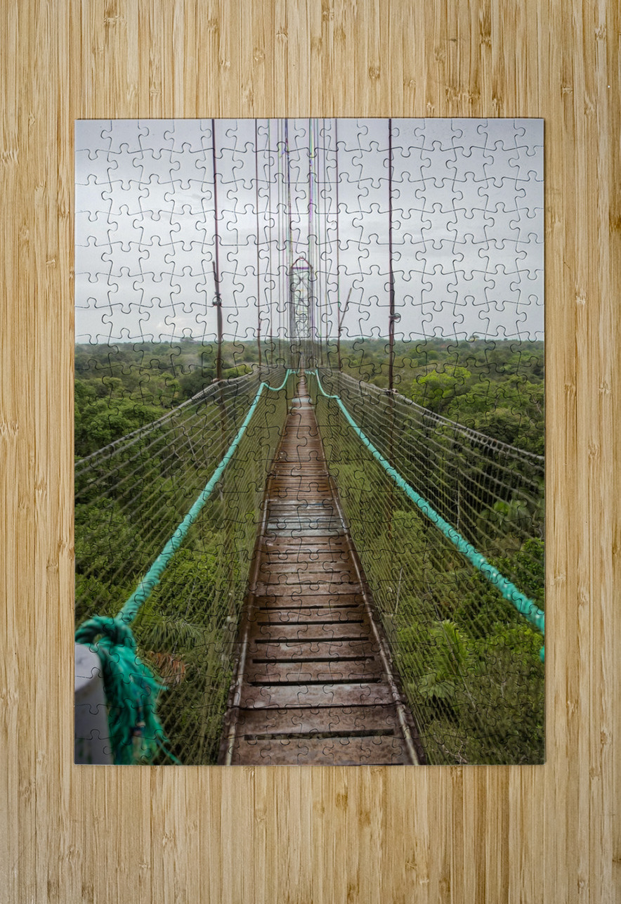 Ecuador 9 0813 Robert Burnett Puzzle printing