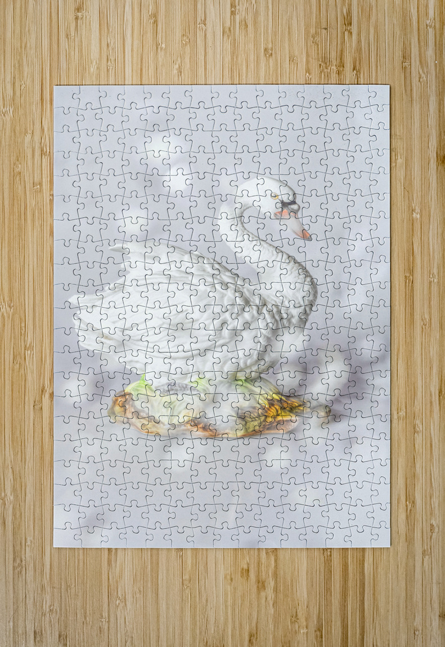 White swan Jorgo Puzzle printing