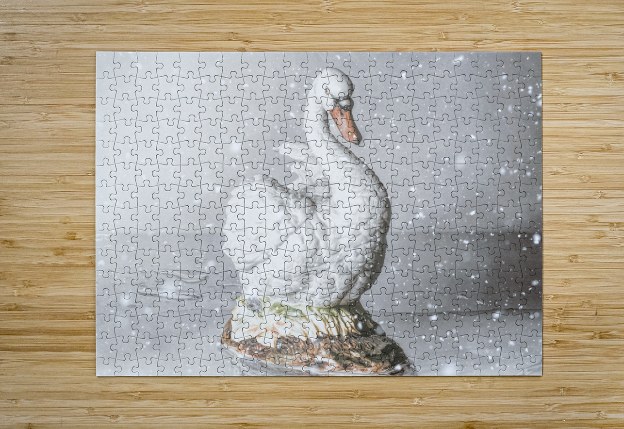 Porcelain winters Jorgo Puzzle printing