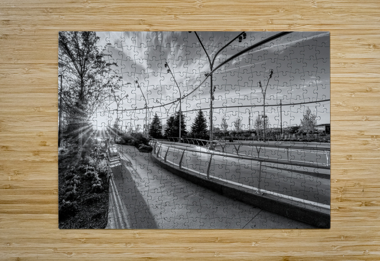 Omaha Skate Park Golden Sun Star Grayscale Jennifer White Puzzle printing