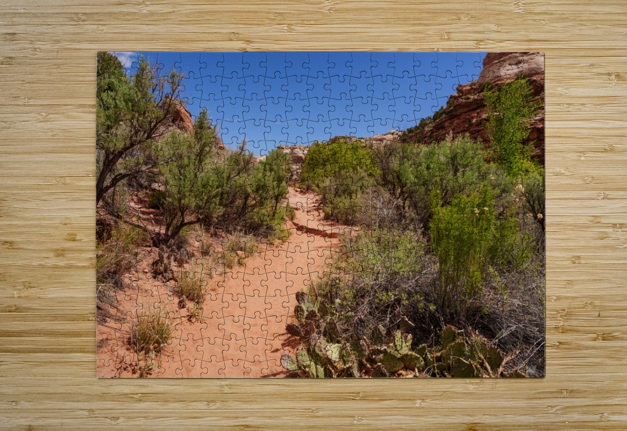Pathway Through Grand Staircase Escalante Jennifer White Puzzle printing