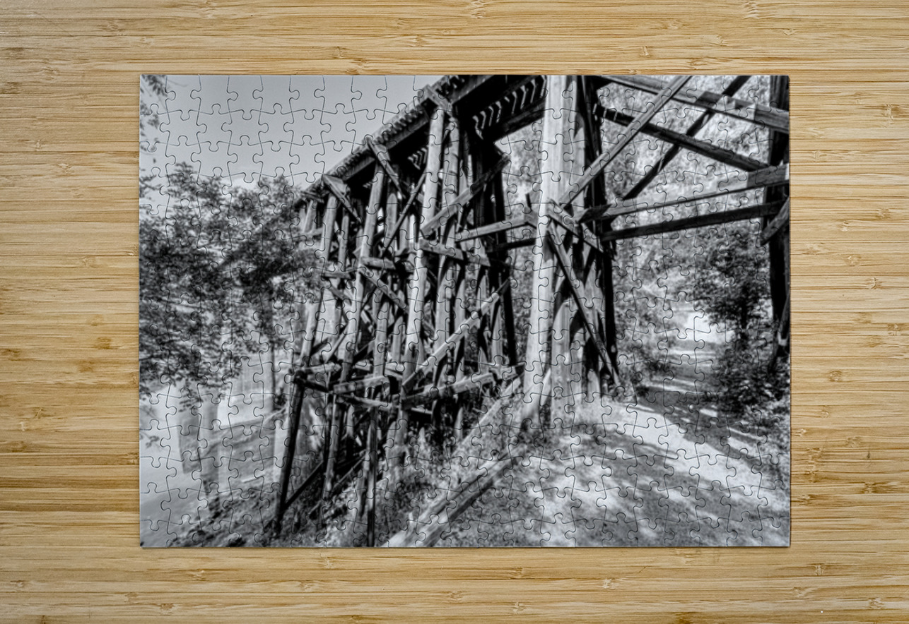 Path Under Old Railroad Bridge Grayscale Jennifer White Puzzle printing