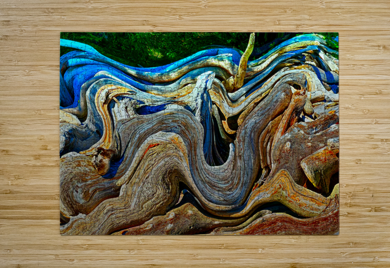 Drifted and Twisted Tracy Currie ~ Digital Photo Artist Puzzle printing